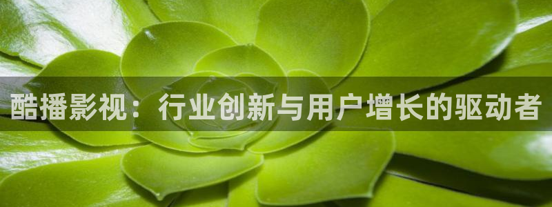草莓视频ios官网下载：酷播影视：行业创新与用户增长的驱动者