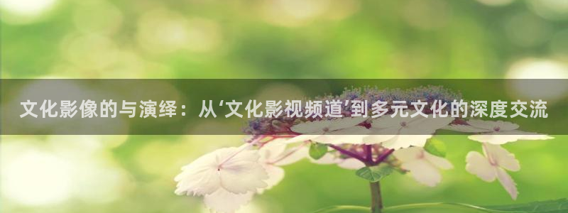 草莓视频cm.888tw在线观看：文化影像的与演绎：从‘文化影视频道’到多元文化的深度交流