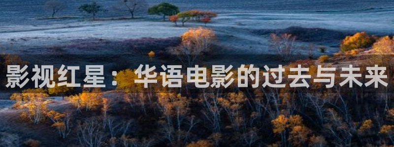 草莓大人视频：影视红星：华语电影的过去与未来
