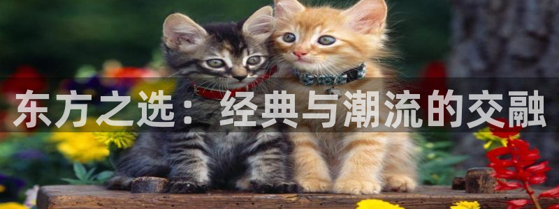 草莓www视频：东方之选：经典与潮流的交融