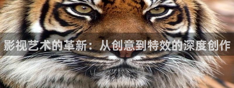 网站草莓视频：影视艺术的革新：从创意到特效的深度创作