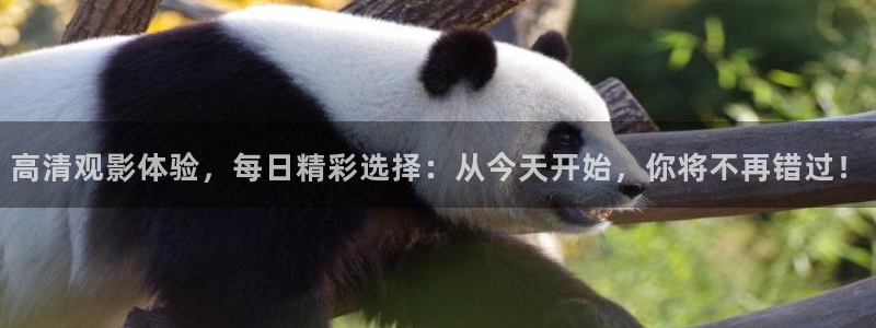 h草莓视频：高清观影体验，每日精彩选择：从今天开始，你将不再错过！