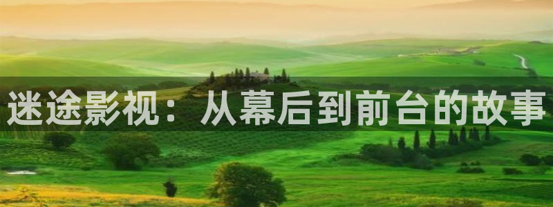 草莓视频在线观看视频在线观看：迷途影视：从幕后到前台的故事